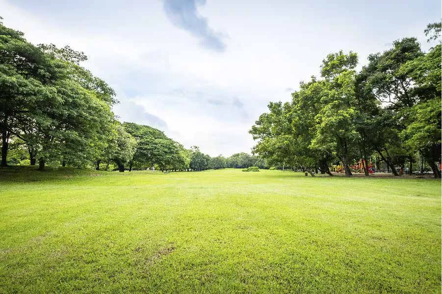 Naturaleza y parques de Panamá